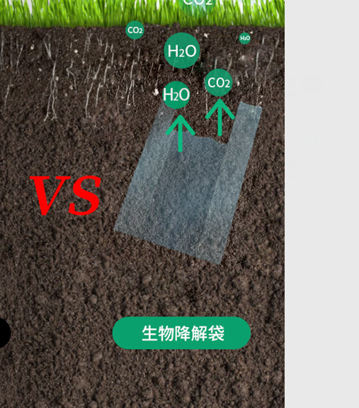 可生物降解環(huán)保塑料可以回收再利用嗎？(圖1)