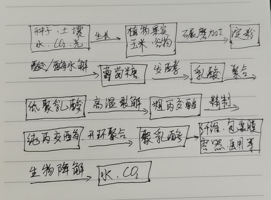 生物降解袋中的PLA是如何制得的？(圖1)