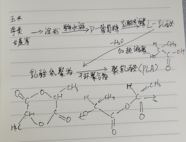 生物降解袋中的PLA是如何制得的？(圖2)